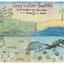 Keep Collier Beautiful calendar cover for 2026 was drawn by Komomo Meza.