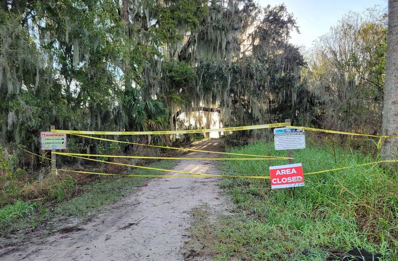 Alligator Alley, a popular trail at Circle B Bar Reserve in Lakeland that has been closed since Hurricane Milton to repair damage, is back open.