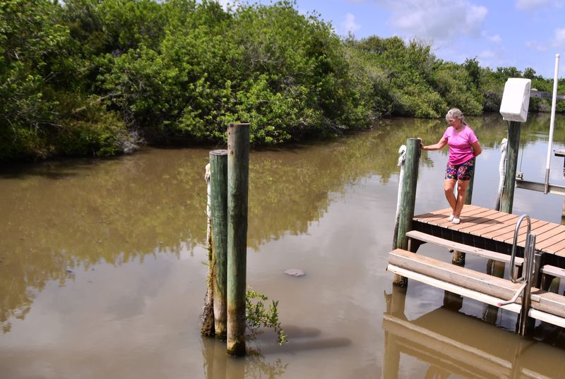 Mitzie Norman stands on the dock in her backyard watching solid waste float past her home in Turkey Creek.Palm Bay officials warned residents June 9 of "a serious environmental and public health concern" after raw sewage had been pouring for hours from a broken main sewer pipe near the city's sewer plant off Clearmont Street.