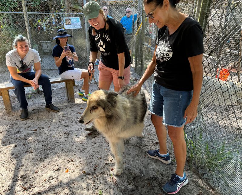 Giovanni Soriano, Kim Young, Caitie Greiser and Debbie Loverde.
