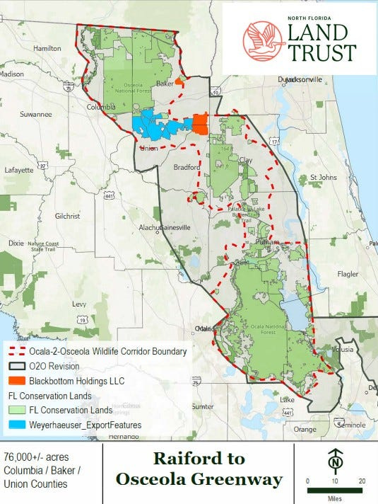 Areas marked in red and blue were part of a major land-conservation agreement approved June 10 by Gov. Ron DeSantis and other members of the state's Internal Improvement Trust Fund.