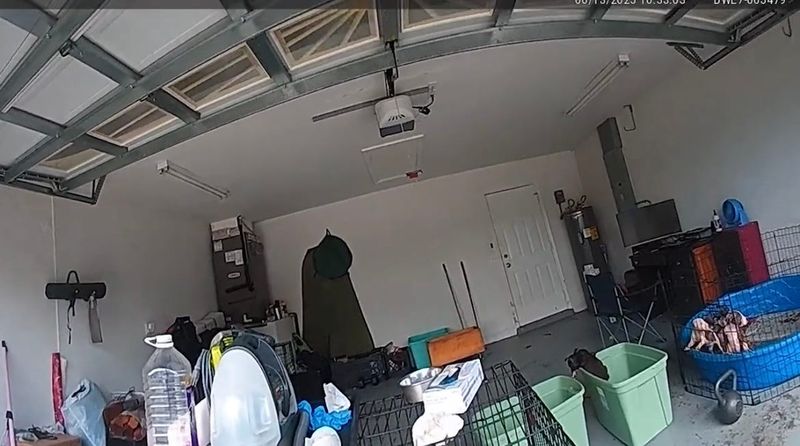 Reports of what sounded like puppies whining throughout the day inside a garage led to the arrest of Ayana Lee Constantine, 37, of Fort Myers, on animal cruelty charges.