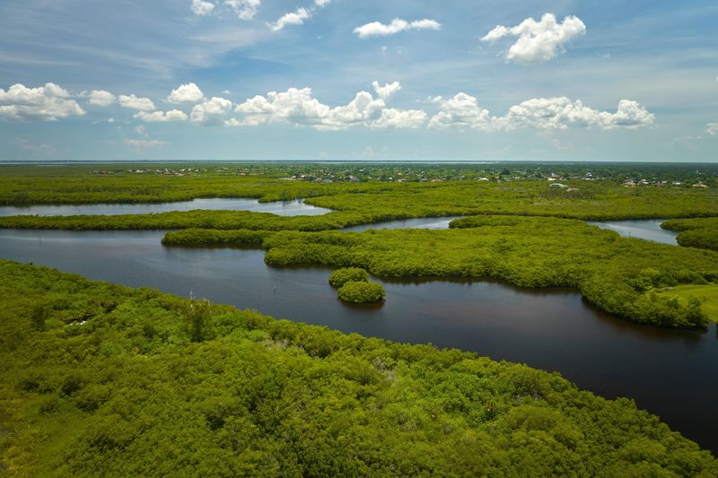 The Big Waters Land Trust's first Strategic Conservation Plan targets urgent conservation opportunities with a goal to build a framework for future resilience across Southwest Florida.