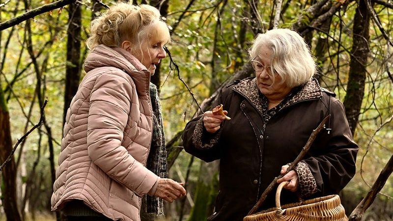 Lead character Michelle (Hélène Vincent) is a kindly octogenarian grandmother in "When Fall is Coming," showing at the Challenger IMAX on June 21 and June 22, 2025.
