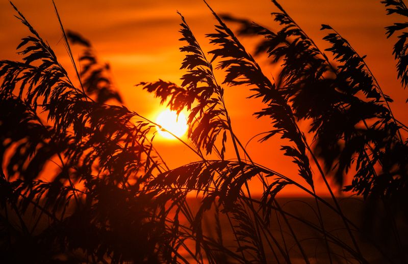 Southern Living named Cocoa Beach as the best spot in Florida to watch a sunrise.