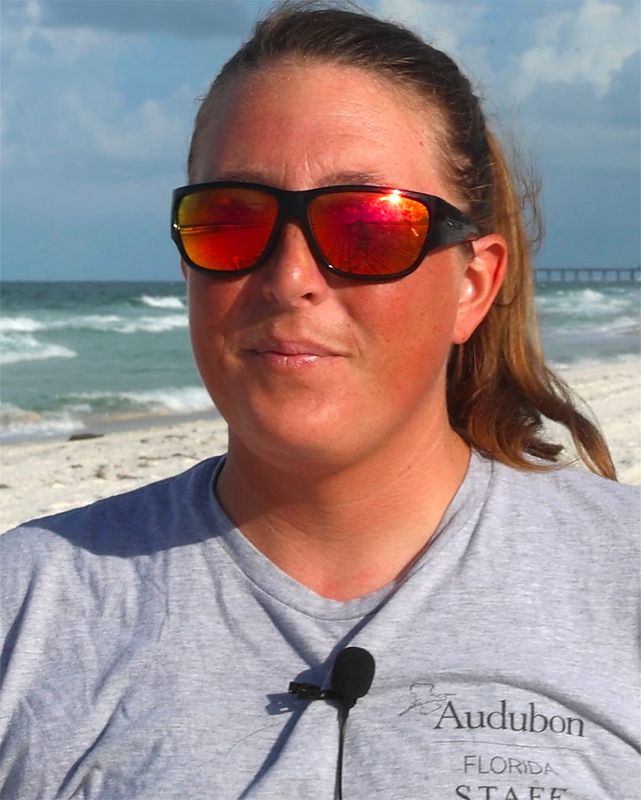 Collette Lauzau, a shorebird program manager with Audubon Florida, says least tern and black skimmer colonies are "very active right now" in Bay County. The public can help keep the colonies safe.