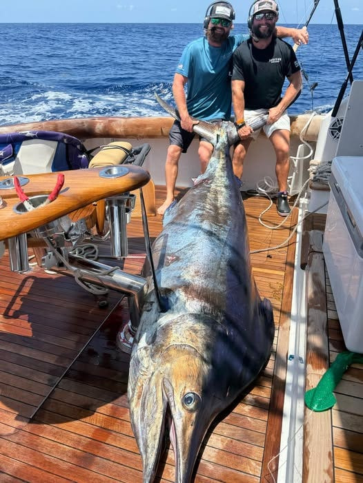Angler Nathan Bearden, left, and Josh Tice show off the huge blue marlin caught on the Devotion with Capt. Jason Hallmark. Bearden's blue took second place in the Emerald Coast Blue Marlin Classic. The marlin tilted the scale at 640.4 pounds.