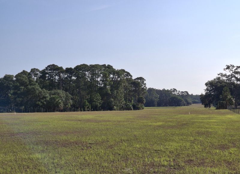Deep Woods Ranch Airstrip, which Embry-Riddle Aeronautical University is purchasing and planning to pave, rests within the Ocala National Forest in northeast Lake County.