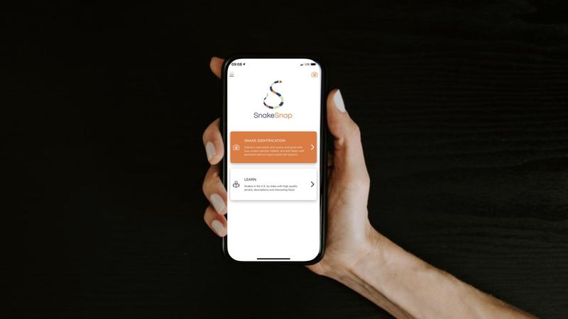 SnakeSnap is available for download on iOS and Android phones. Subscriptions cost $1.99 a month or $9.99 a year.