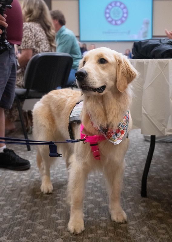 A facility dog named Birdie is introduced at Ascension Sacred Heart Hospital in Pensacola on June 25, 2025.