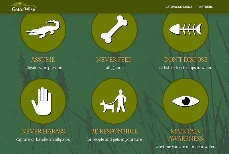 Screenshot of GatorWise, an alligator awareness website launched in June 2025 from the state fish and wildlife agencies of 11 states where alligators are prevalent.