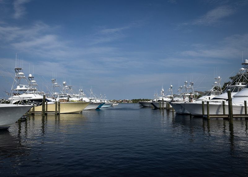 Fishing boats are seen at Point South Marina in Panama City Beach, Fla., June 26, 2025. (Tyler Orsburn/News Herald)