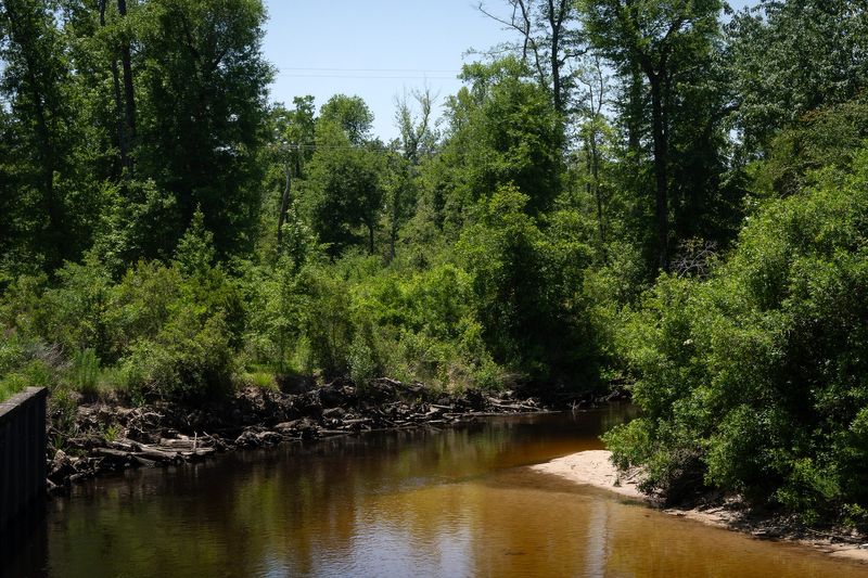 Econfina Creek is pictured on May 27, 2025. U.S. Geological Survey data showed the creek as having a much above normal streamflow on May 26, 2026.