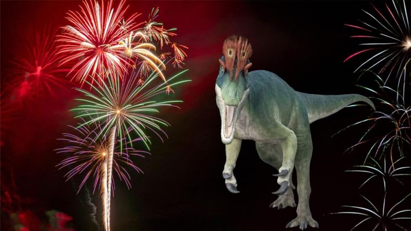 Enjoy Fourth of July fireworks and the Jurassic Mall Event at Lake Square Mall this weekend.