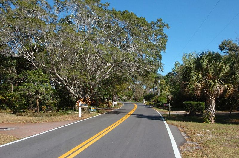 Bayshore Drive on the north end of the island of Venice.