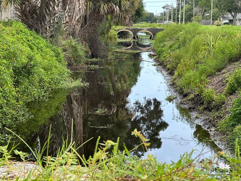 Canal passes through Travelers Palm Drive and 18th Street in Edgewater, Tuesday, July 8, 2025.