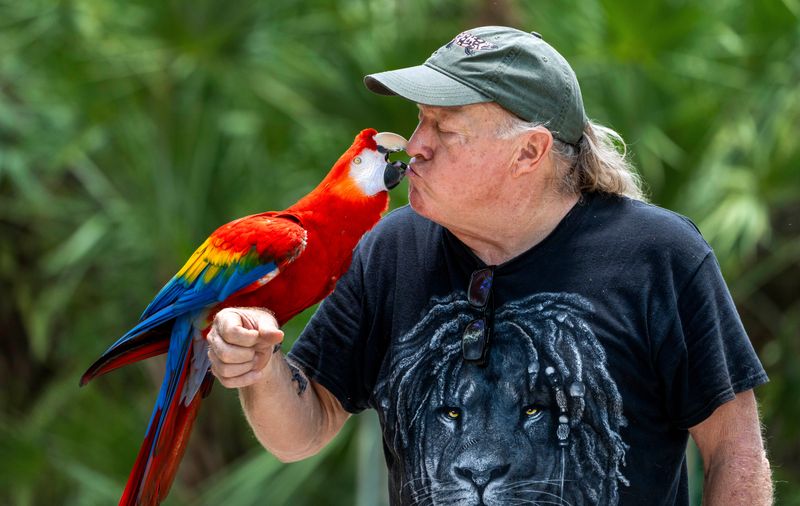 Mark McCarthy gives Norma Jean a kiss at McCarthy's Wildlife Sanctuary on July 7, 2025 in The Acreage, Florida. The 35 year-old Scarlet Macaw has spent its life it's life there.