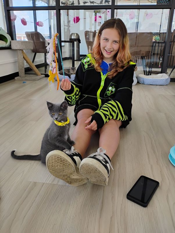 A young visitor plays with one of the cats available for adoption at DeLand Cat Cafe.