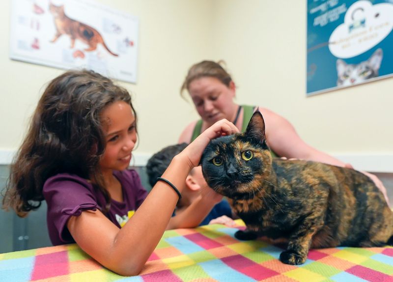 Raylinn, 9, pets her family cat, Treasure, after being reunited at the Flagler Humane Society Animal Shelter, Friday, July 11, 2025. Treasure went missing over three years ago and was discovered after workers at the shelter found out she had a micro chip.
