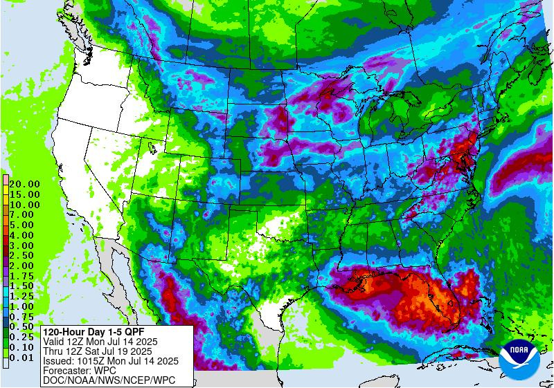 A lot of rain is expected across Florida July 14-19, 2025, as an area of low pressure moves west from the Atlantic into the Gulf.