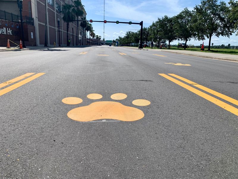 A big yellow paw print on Bay Street in Jacksonville, Fl celebrates the impact of the Jacksonville Jaguars on the city. Volunteers have been painting paw prints down Bay Street all the way to the stadium since 1995.