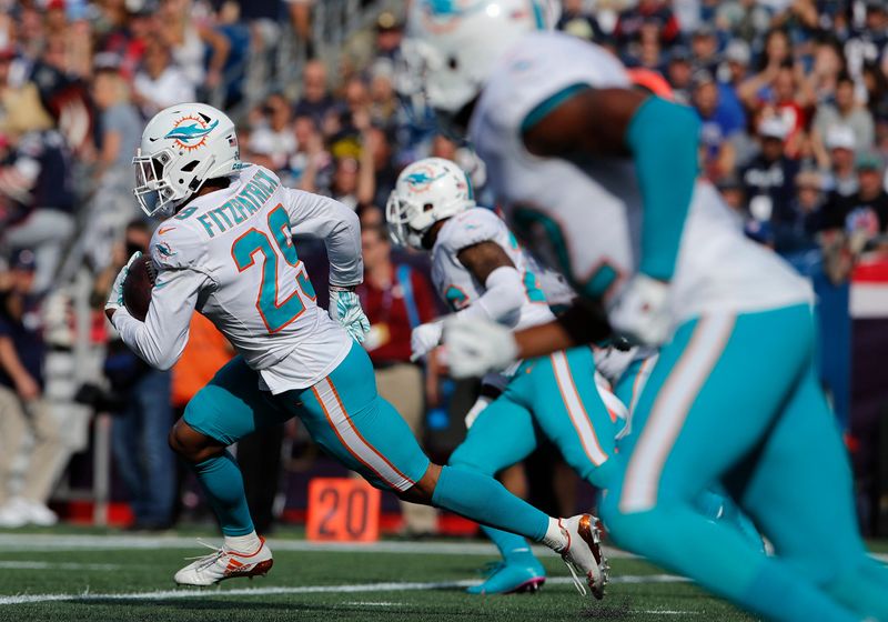 Sep 30, 2018; Foxborough, MA, USA; Miami Dolphins defensive back Minkah Fitzpatrick (29) intercepts the ball intended for New England Patriots wide receiver Phillip Dorsett (13) (not pictured) in the second half at Gillette Stadium. The Patriots defeated Miami 38-7. Mandatory Credit: David Butler II-USA TODAY Sports