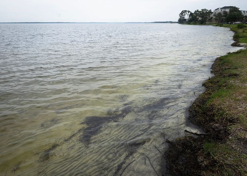The shoreline at Carl Gray Park in Panama City, Fla., is pictured July 23, 2025. (Tyler Orsburn/News Herald)