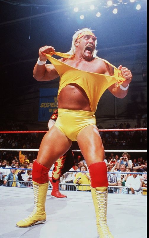 Professional wrestling became wildly popular in large part to the likes of Hulk Hogan.