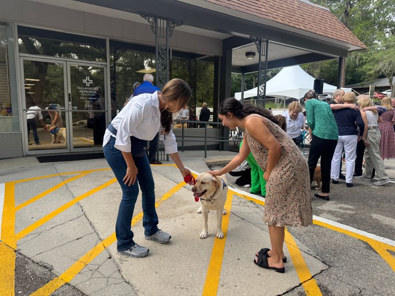 Meet Rick the dog, receiving warm pats with his handler Becca Hale.