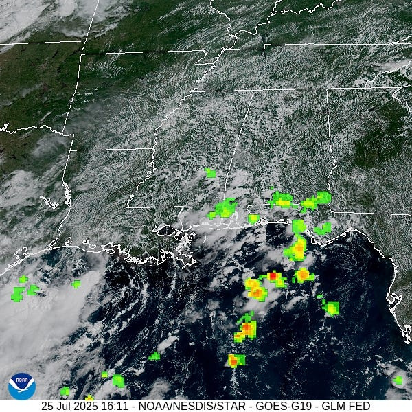 Satellite image over the Gulf Coast on Friday, July 25.