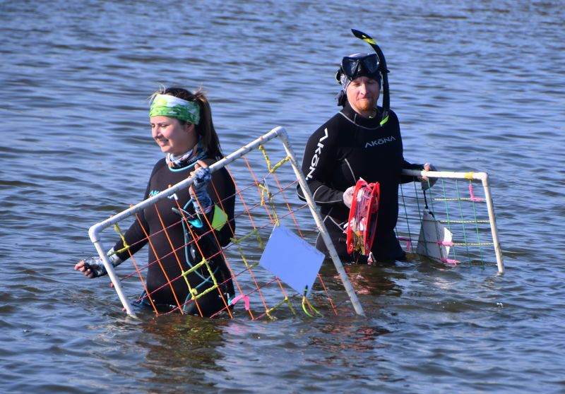Ashley Mahon and Skyler Kligshirn were using a grid quadrat - a grid system- to check seagrass growth in a site they monitor. A group of environmental scientists with the St. Johns River Water Management District were out in the Indian River Lagoon in north Titusville checking the area for signs of seagrass recovery.