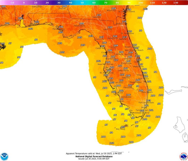 Predicted heat index across Florida at 2 p.m. July 30, 2025.