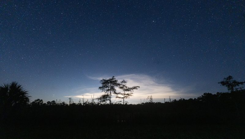 Stars can be seen over the Everglades on Wednesday, July 30, 2025. Photographed from Burns Lake Campground looking east towards Alligator Alcatraz and the east coast of Florida. The Big Cypress Wildlife Management Area is considered a dark skies designated location. Some are concerned about the construction of Alligator Alcatraz, saying that it is causing light pollution.