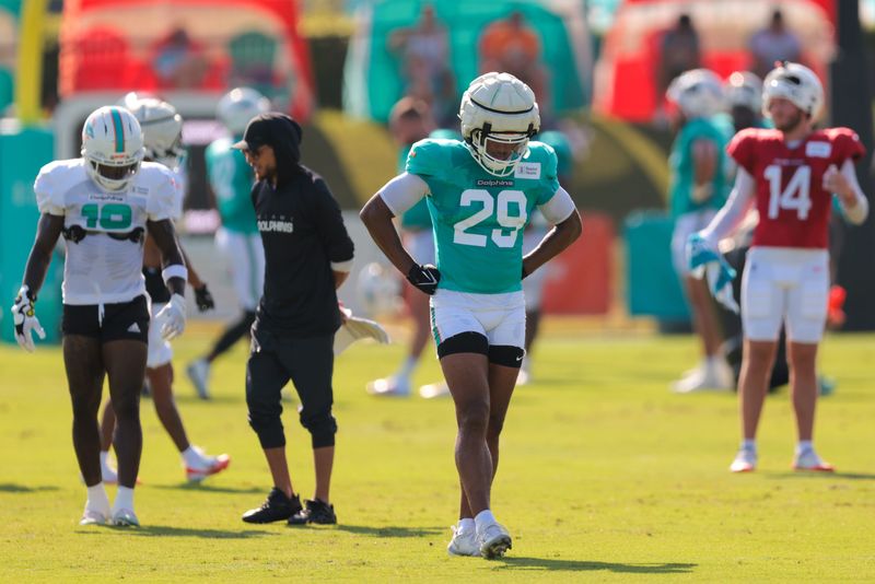 Jul 29, 2025; Miami Gardens, FL, USA; Miami Dolphins safety Minkah Fitzpatrick (29) walks on the field during training camp at Baptist Health Training Complex. Mandatory Credit: Sam Navarro-Imagn Images