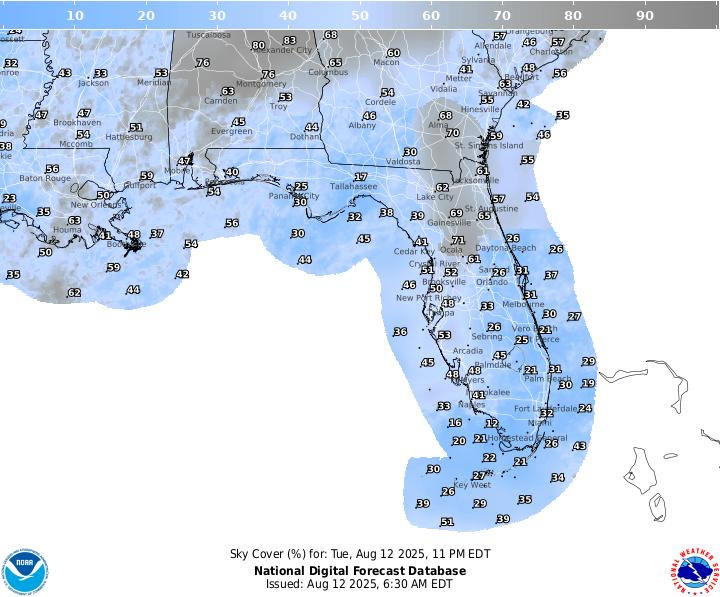 This graphic from the National Weather Service shows the cloud cover in Florida on the night of Tuesday, Aug. 12.