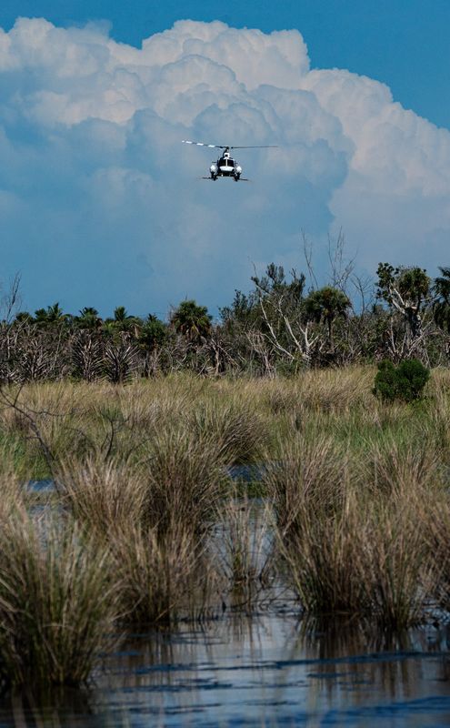 The Lee County Mosquito Control District sprays for mosquitos over a wetland near the Clinic for the Rehabilitation of Wildlife on Tuesday, Aug. 12, 2025. Heavy rains over the weekend that left some area with standing water provided a perfect breeding ground for mosquitoes.