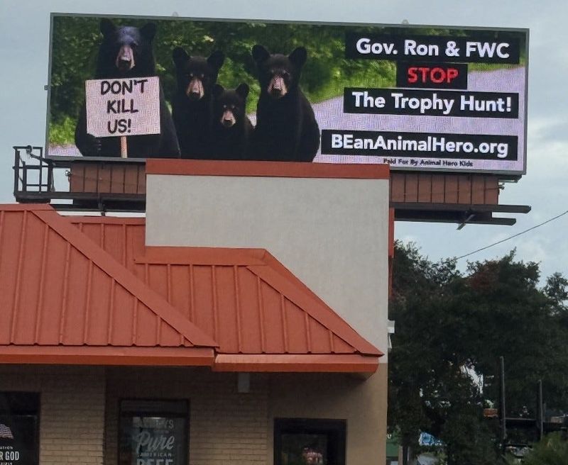 This billboard went up in two locations in Tallahassee, one near the governor's mansion, the day before the FWC met to approve rules for a bear hunt