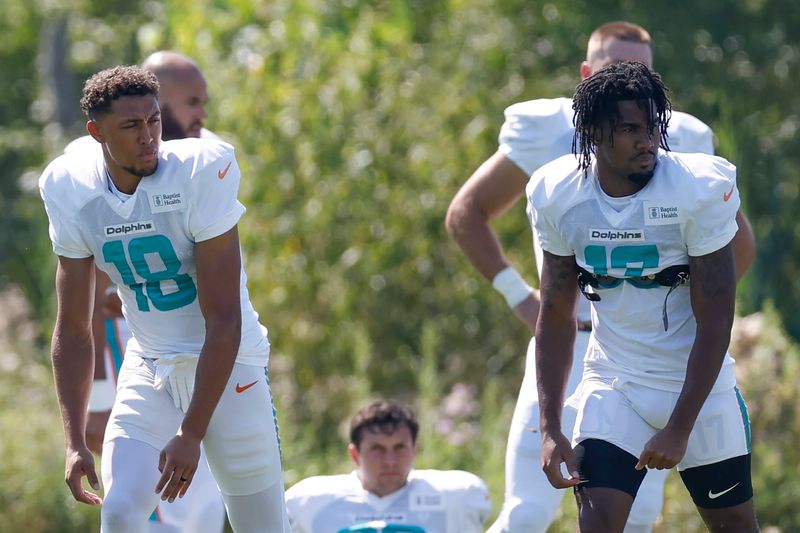 Aug 8, 2025; Lake Forest, IL, USA; Miami Dolphins wide receiver Nick Westbrook-Ikhine (18) and wide receiver Jaylen Waddle (17) stand on the field during joint training camp practice with the Chicago Bears ahead of Sunday's preseason opener. Mandatory Credit: Kamil Krzaczynski-Imagn Images