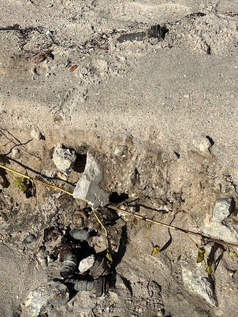 Pieces of a suspected WWII, or earlier, era sea mine were discovered on shoreline south of Vero Beach following the offshore passage of Hurricane Erin on August 20, 2025, officials said.