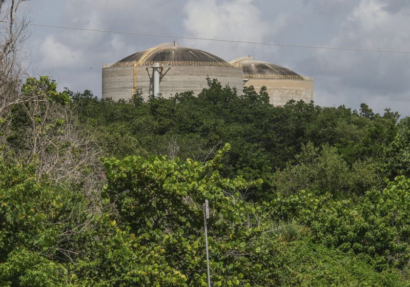 The top of the twin reactors at the Florida Power & Light St. Lucie Nuclear Power Plant rise above the trees at 6501 S. Ocean Drive on Aug. 29, 2025, in St. Lucie County. The reactors are among the tallest structures in St. Lucie County.