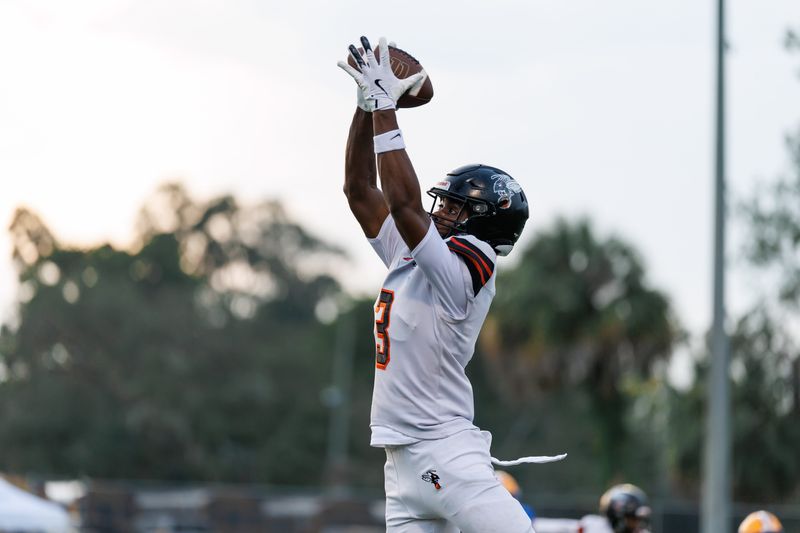 Hawthorne Hornets wide receiver Dominick Harvey (3) makes a catch against the Newberry Panthers during the first half at Newberry High School in Newberry, FL on Friday, August 29, 2025. [Matt Pendleton/Gainesville Sun]