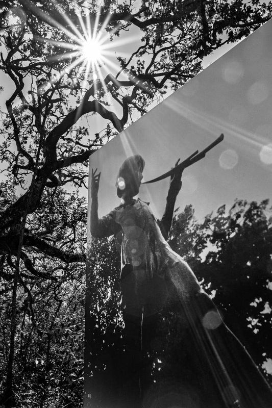 Debbie Durham and her photo, Peter Pan Into the Light, won best-in-show at Marie Selby Botanical Gardens’ 45th Annual Juried Photographic Exhibition.