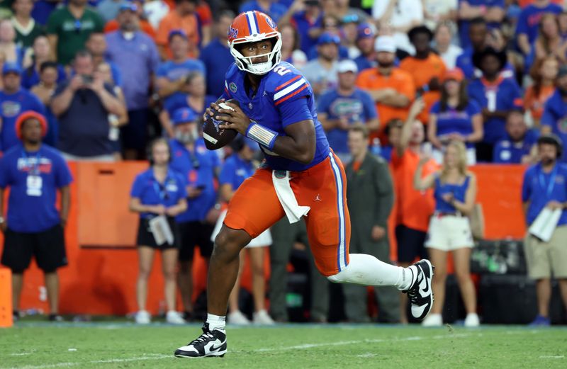 Sep 6, 2025; Gainesville, Florida, USA; Florida Gators quarterback DJ Lagway (2) drops back against the South Florida Bulls during the second half at Ben Hill Griffin Stadium. Mandatory Credit: Kim Klement Neitzel-Imagn Images