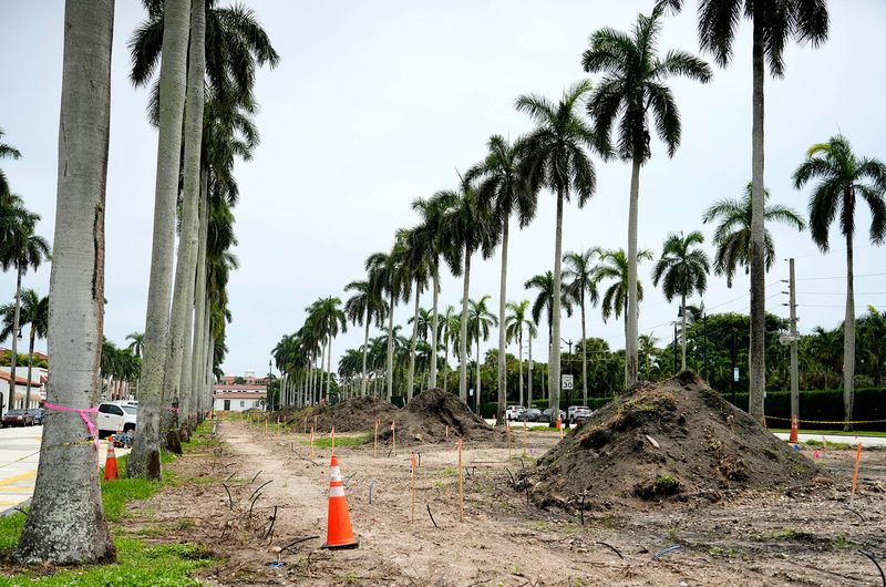 Work continues on the Royal Poinciana Way medians between Bradley Place and North County Road on Sept. 8.