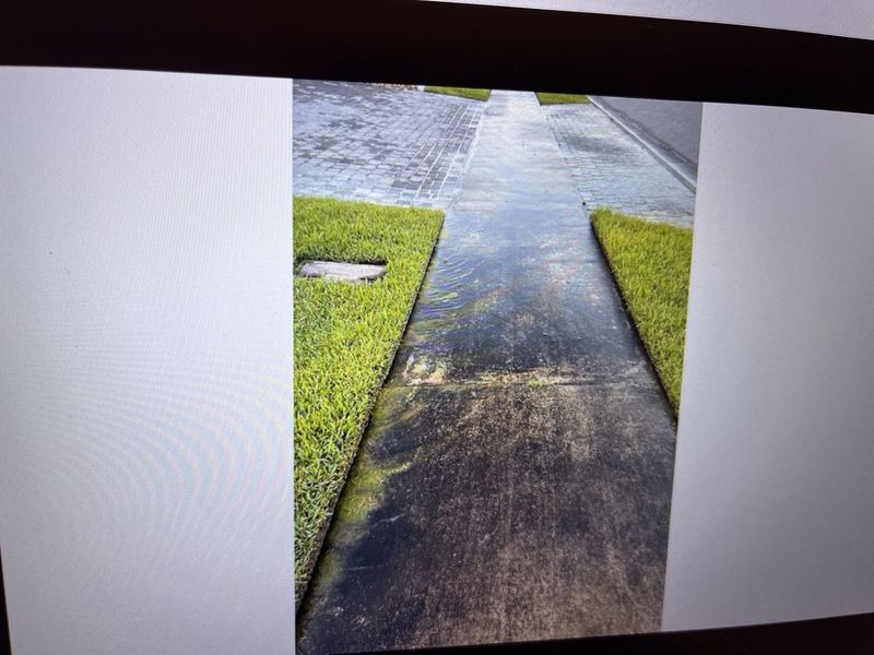 Some of the sidewalks in Daytona Beach's Mosaic neighborhood are covered in layers of mud, fertilizer, mold or algae. Residents say the walkways are slippery and treacherous.