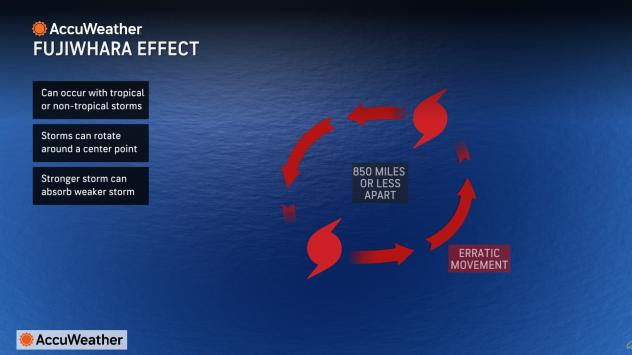 The Fujiwhara effect occurs when storms dance around a center point together. In rare cases, the stronger storm can absorb the weaker storm.