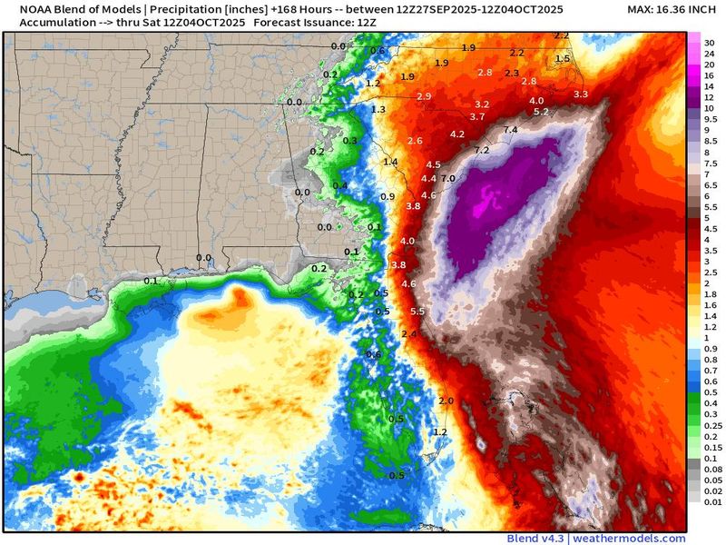 A NOAA 7-day model blend on rain totals shows limited impacts for Florida
