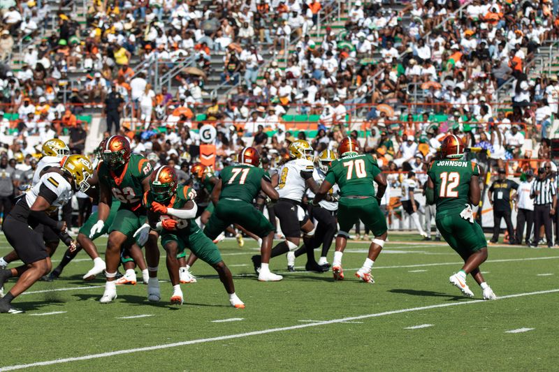 Florida A&M Rattlers quarterback RJ Johnson III (12) aims to pass and help move his team down the field.
