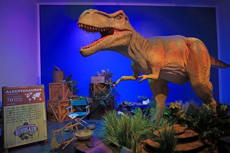The new "Expedition: Dinosaur" exhibit opens on Saturday, Oct. 11, at the Museum of Arts & Sciences in Daytona Beach. The immersive exhibition features over a dozen life-like animatronic dinosaurs and hands-on interactive activities that bring the prehistoric world to life. It runs through March 29, 2026.