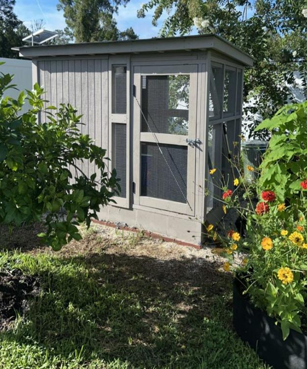 A compliant chicken coop in Palm Coast as the city heads toward a new ordinance setting rules around backyard chicken ownership for residents.